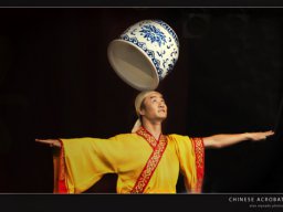 acrobat8